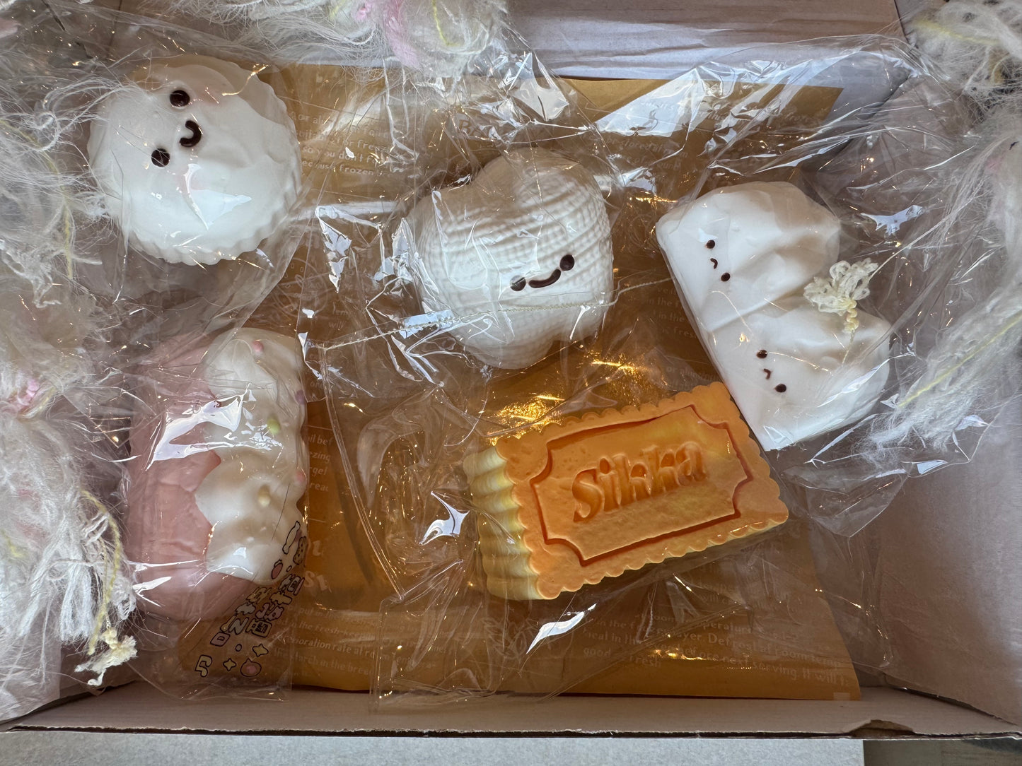 Box of 5 taba squshy